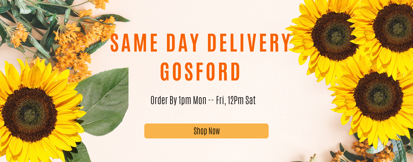 gosford_flowers.jpg