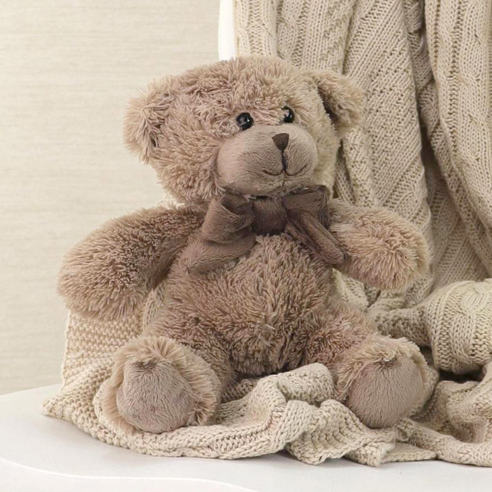 Brown Teddy 17cm