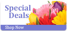 Special Deals